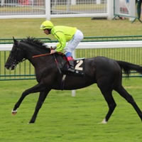 Dandino at Royal Ascot