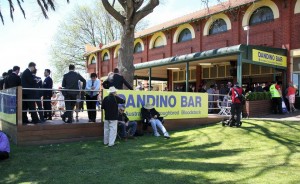 dandino-bar