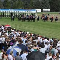 Capacity field to contest 2014 Ballarat Cup on Saturday