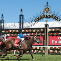 The 2013 Melbourne Cup according to Jeffers