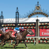 melbourne-cup