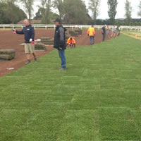 New turf being laid at Ballarat racecourse