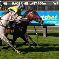 2014 Ballarat Cup Day worth $1 Million