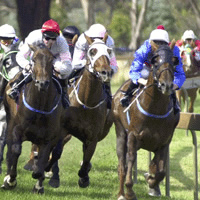 Racing Victoria set to launch Racing.com