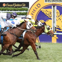 Firehouse Rock on Derby trail following thrilling Caulfield victory