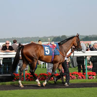 Punters get back on Track and head for the Mounting Yard