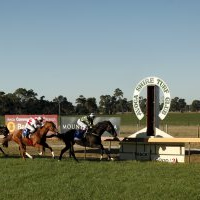 Avoca Shire Turf Club to benefit from funding improvement boost