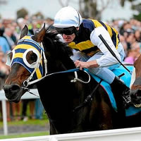 More Than Sacred popular elect for 2014 Geelong Cup