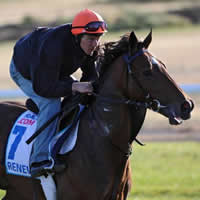 Ballarat Trainer to saddle up first Group 1 runner in 2014 Caulfield Cup