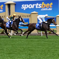 Fillies & Mares only at the Ballarat Turf Club today