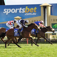 2014 Ballarat Cup runner by runner preview