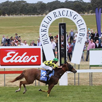 Cup full of Diamonds at Dunkeld