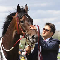 Signoff signing in for the 2014 Melbourne Cup