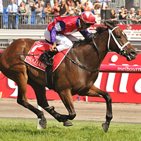 Hucklebuck crowns Adelaide Yearling Sale at Flemington