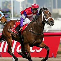 Hucklebuck claims 2014 Emirates Stakes on final day of Flemington Carnival