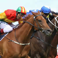 Magic Millions Adelaide Yearlings fire on Derby Day