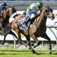Magnifisio wins Group 1 Railway Stakes at Ascot