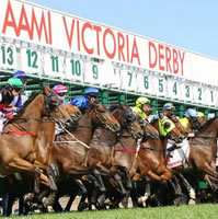 Promising 3yo Preferment wins 2014 AAMI Victoria Derby at Flemington