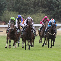 25 nominations for 2015 Burrumbeet Cup on New Year’s Day