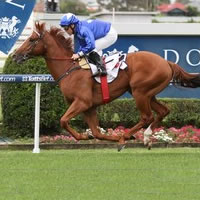 Magic Millions graduates score stakes quartet