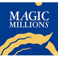 Magic Millions National Yearling Sale Catalogue now online