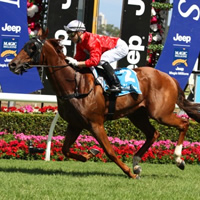 Another Magic Millions feature for Deiheros