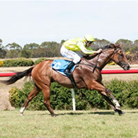 Ticket To Toorak brings in the new year with scorching Terang victory