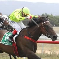 Excited owners Dance to the winning tune of Tintaglia