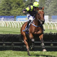 Flood hits Ballarat racecourse to bring in the 2015 Jumps Season