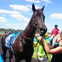 Black Velveteen black type bound following impressive Sandown victory