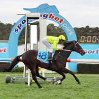 A pat on the head leads to Imaging at Warrnambool May Carnival