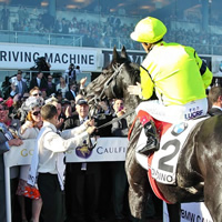 ATB’s Dandino and Taiyoo ready for Caulfield on Saturday