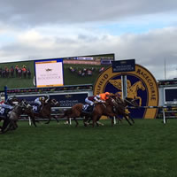Boban makes it a memorable Memsie Stakes Day at Caulfield