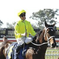 Rockolicious and Blake Shinn make it two from two at Warwick Farm