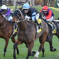 Tasmanian cult figure cleans up at the Valley