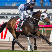 Tarzino a class above in 2015 VRC Derby at Flemington