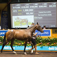 Fastnet to another $1M Lot as records tumble at 2016 Gold Coast Sale