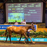 Snitzel tops menu on Day 2 of the 2016 Gold Coast MM Sale