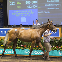 Miss Finland Colt $900K Dundeel on Day 1 of 2017 MM Gold Coast Yearling Sale