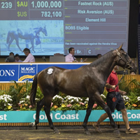 Million Dollar Fastnet Rock colt tops Day One of 2018 Gold Coast Sales