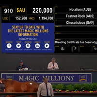 Notation set to Love Racing following Magic Millions Broodmare Sale