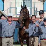 dundeel colt tops sale