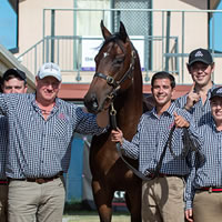 Dundeel Colt tops 2019 Gold Coast National Yearling Sale